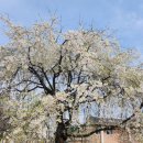 가례마을복지회관 이미지