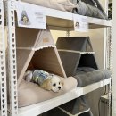 토토리하우스 이미지