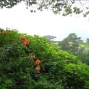 금성산성 이미지