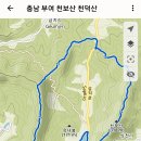 대문고개로 Daum카페