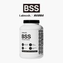 이그니스 이미지