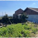 슬기로운 우도생활 이미지