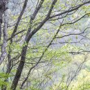 삼라만상 이미지