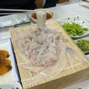 엄지횟집 | 마산 어시장 횟집 추천 | <생스쿠바 횟집>에서 제철 맞은 자연산 봄도다리회 솔직후기🎣