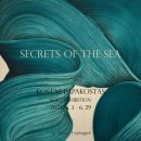 바다파파 이미지