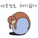 닥터미장 이미지