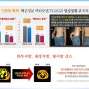 슬림 티스토리