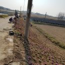 덕정2리 이미지