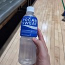 테크존배드민턴센터 | [대구 배드민턴 레슨]365배드민턴 센터 오전. 저녁 반 솔직후기