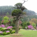 경남농장 이미지