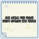 오펠 스크린골프 | 고령 오펠CC 야간 라운딩: 양잔디 컨디션과 꿀팁 대방출!