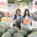 삼송유통 이미지