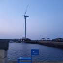 좌가연대 이미지