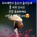 늘봄날 이미지