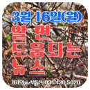 씨브이엘의원 | 3월 16일(월) 알면 도움되는 뉴스