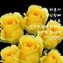 소요유 이미지