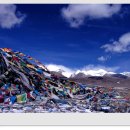 청산별곡 이미지