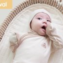 미스터멍 이미지