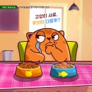 채움동물병원 이미지