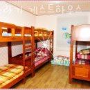 제주게스트하우스봄꽃