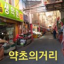 양동약초