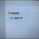 포니카센타 이미지
