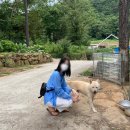 머물인 어우림 이미지