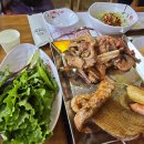 황제애견 이미지