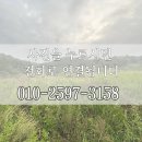 원스톱벌초