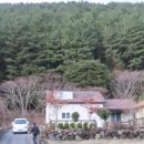 알밤오름 인형의집 이미지