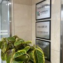 명상지도자과정 참여 중(동국명상원, 명상전문교육 자격증 과정)