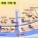 카페맵