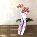 사파동364 이미지