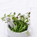 과천한의원 이미지