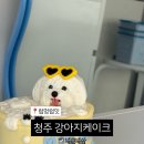 럽멍럽잇 네이버블로그
