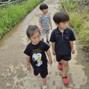 먼마루어린이공원 이미지