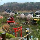 한가람마을버스정류장주변 | 서울벚꽃명소 근교 동두천 일본마을 봄축제 '니지모리스튜디오' 내돈내산 후기