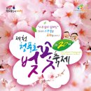 청풍호벚꽃축제(충북 제천) 이미지