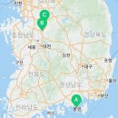 백본등뼈찜 오창직영점