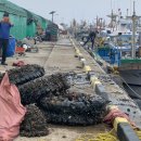 글로벌제주문화협동조합 이미지