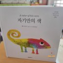 인천효성동초등학교 이미지