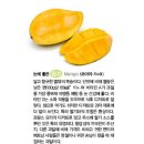 제일야채과일 이미지