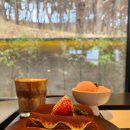 숲속 뷰 강릉 교동 카페 추천 커피 디저트까지 너무 맛있었던 강릉 사루 카페