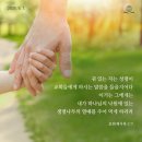 타락 이전 상태에서 주어진 아담의 상승된 복에 대한 계획(下)(그레고리 K. 비일) 이미지