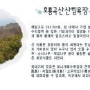 해변의 꿈 이미지