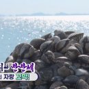 벌교택배 이미지