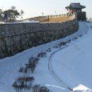 수원-0243 이미지