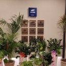 고현서울삼성정형외과의원 이미지