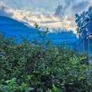 세례농장 이미지