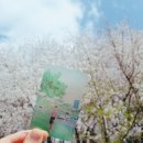 비비디오주 | 소미님♡굿즈구매후기